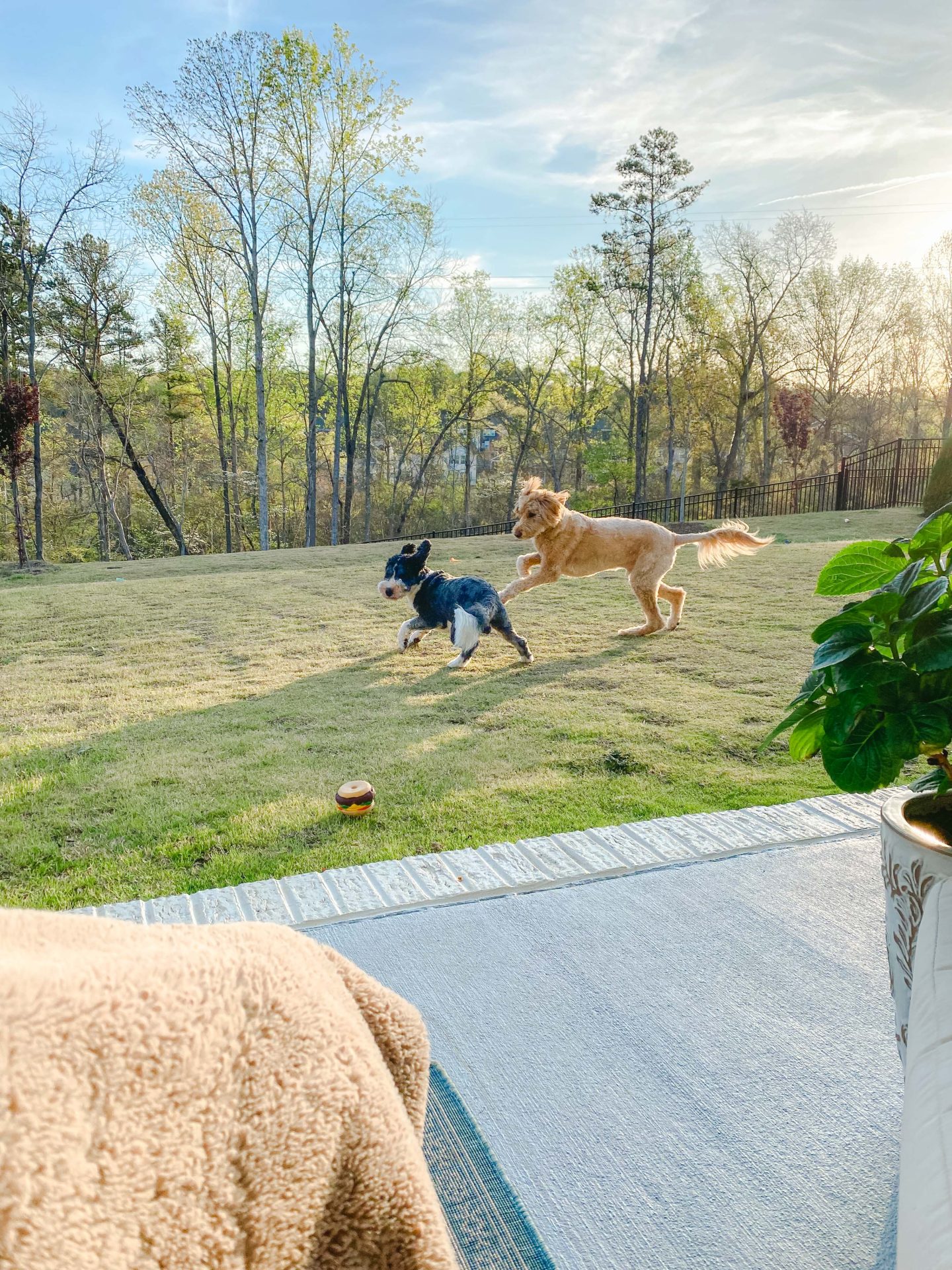 Organizing All Weekend, Being pregnant Tea, and Baking