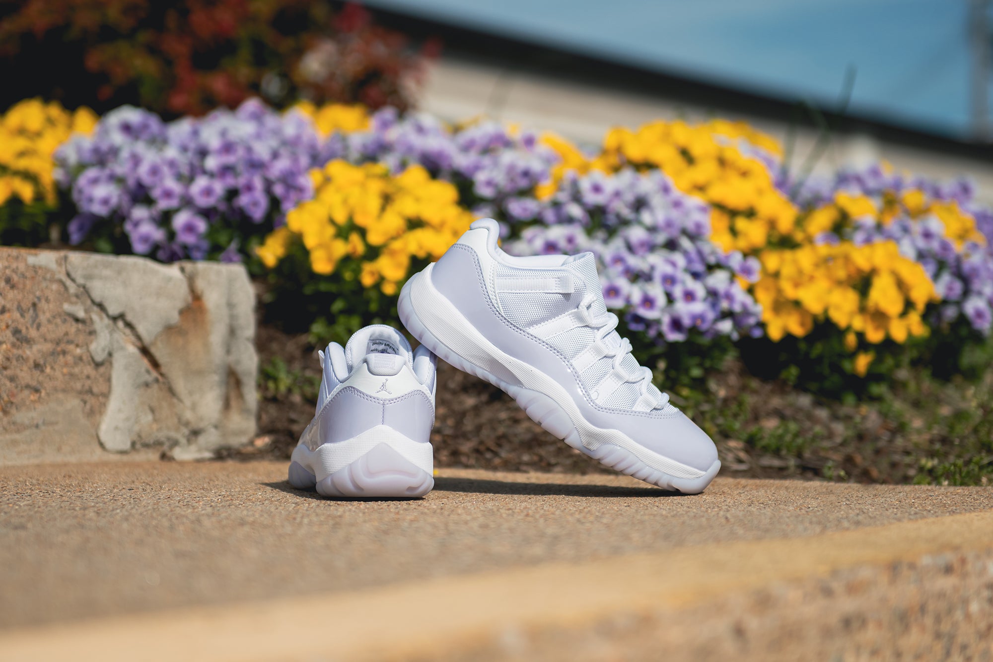 The Air Jordan 11 Low “Pure Violet”