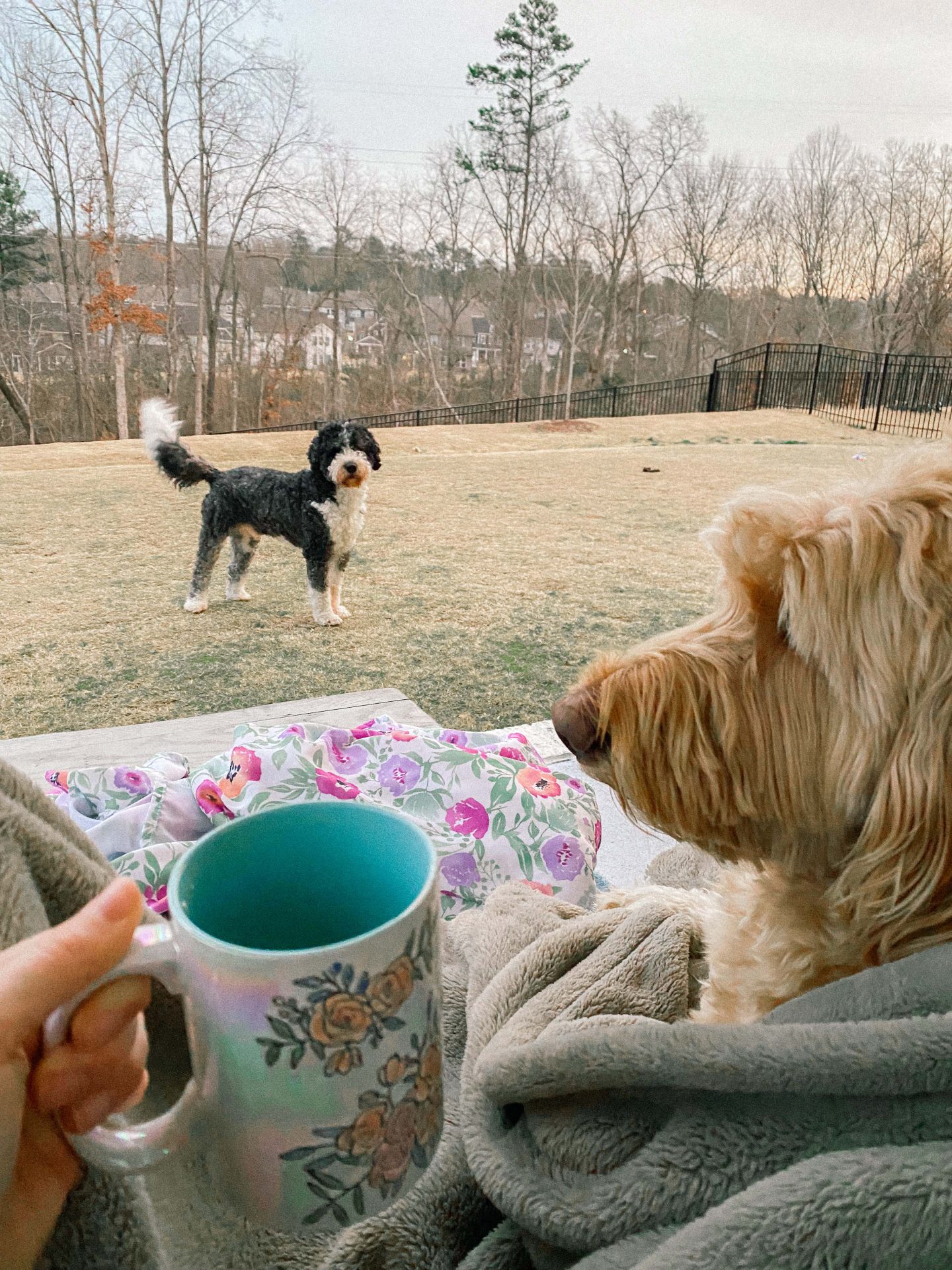 A trip to Charlottesville, a do nothing weekend, and baby stuff!